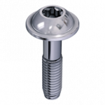 Altacs® Plus Screw