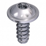 Delta PT® DS Screws